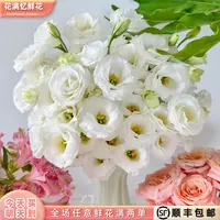 次日达 -【白桔梗】一份白桔梗鲜花鲜切花家居用花批发任意两单升级顺丰包邮三单送随机花瓶今天拍明天到cc