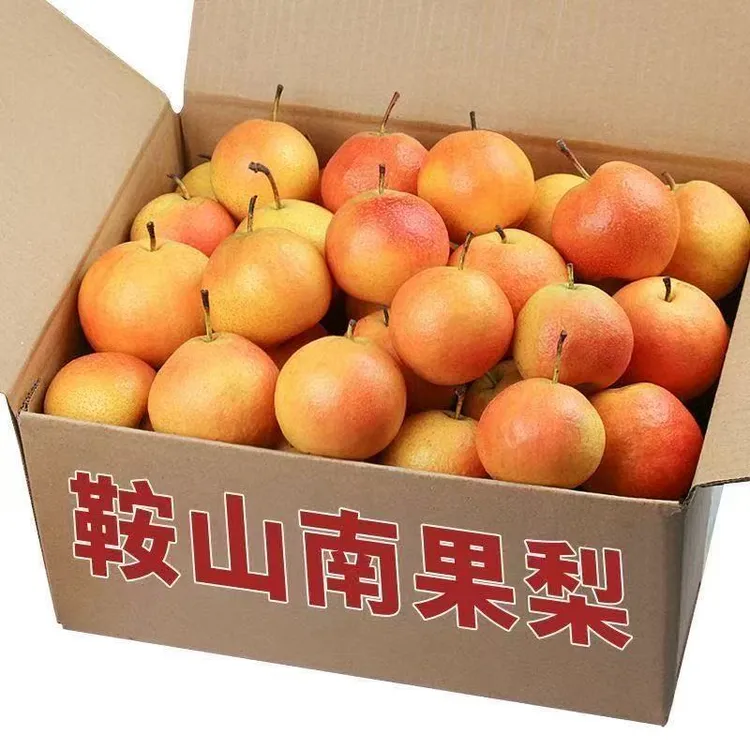 鞍山南果梨新鲜应季水果酒香软糯东北特产包邮
