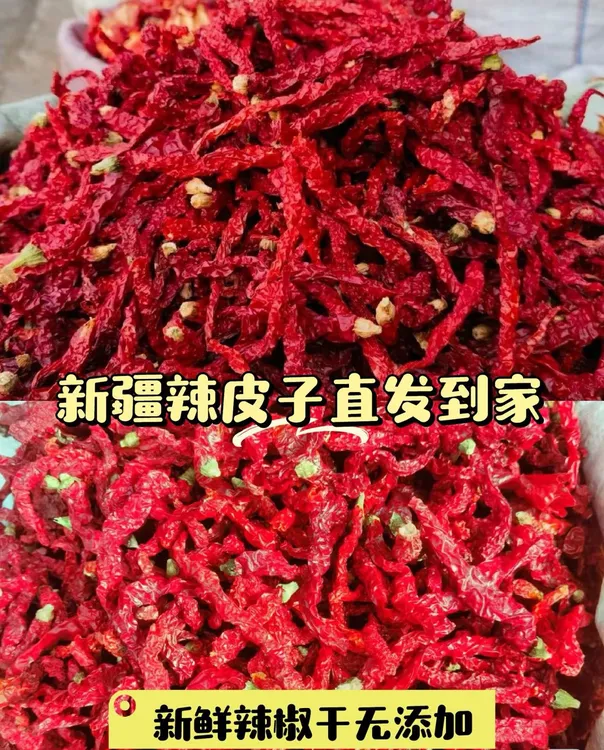 新疆原生态精选天山脚下线辣椒新疆辣皮子