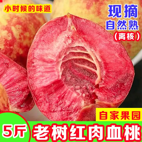 现摘老品种血桃大果当季鲜果软糯香甜多汁孕妇孩子适用果园直发