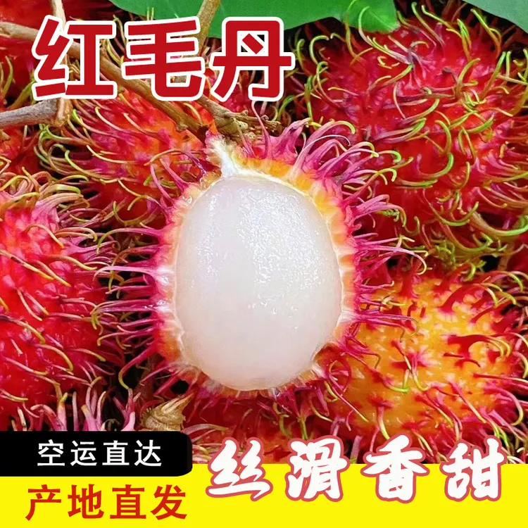 海南红毛丹应季新鲜水果毛荔枝稀有高端毛丹果礼盒装空运产地直发