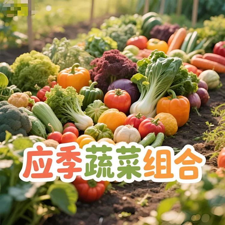 【蔬菜魔盒】农家自种当季时令四季套餐水果辣椒自由搭配有机蔬菜