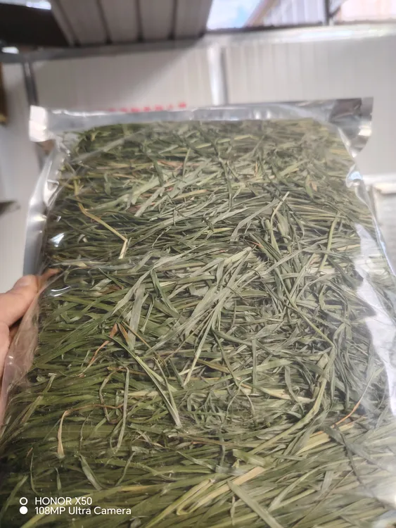 精选晒干提摩西干草兔子猪宠物高纤维磨牙嫩绿少杆牧草