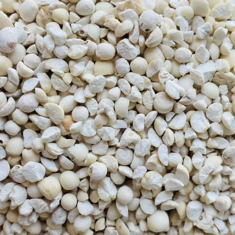 新苏南中小苏芡片包邮销售，数量不多，要的速度