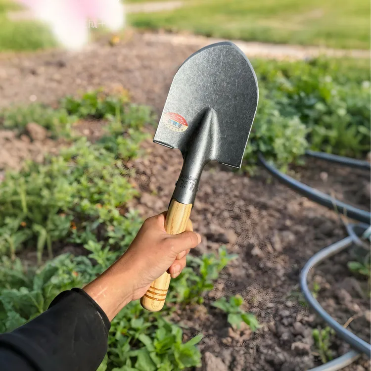 户外尖头便携小铁锨赶海挖土车载探宝实用工具