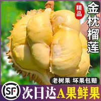 【店庆补贴】A级2-3斤金枕榴莲泰国鲜榴莲金枕头整颗带壳鲜果【顺丰次日达】皮薄肉厚核小15HJ金枕泰国东部
