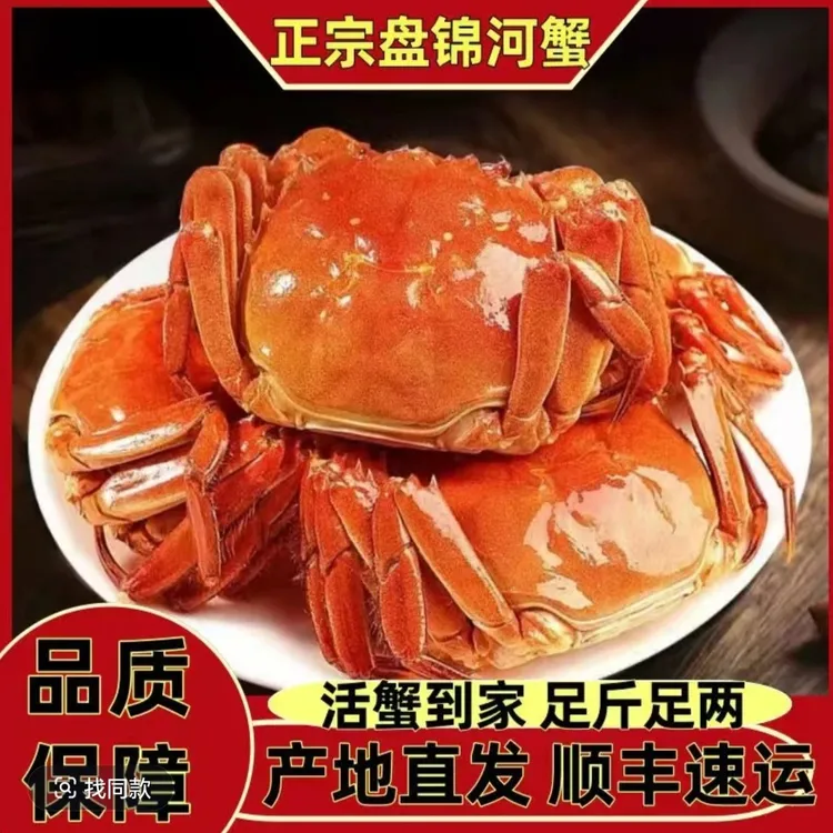 鲜活 盘锦河蟹 母蟹 （1.6-1.3两）母蟹2斤 （13-16只）产地直发