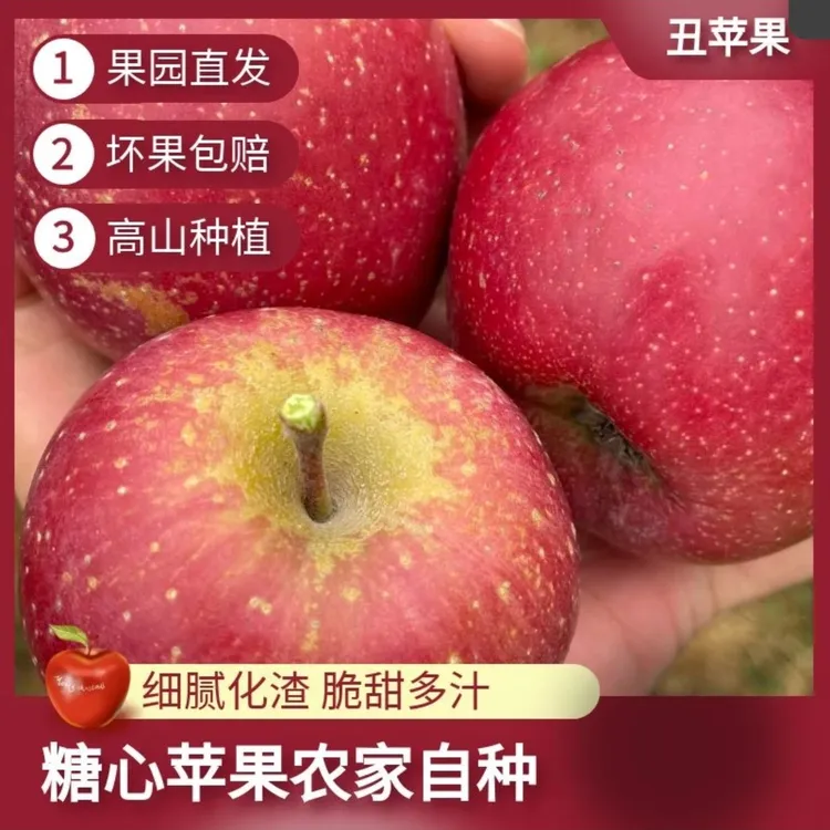 正宗云南昭通冰糖心丑苹果
