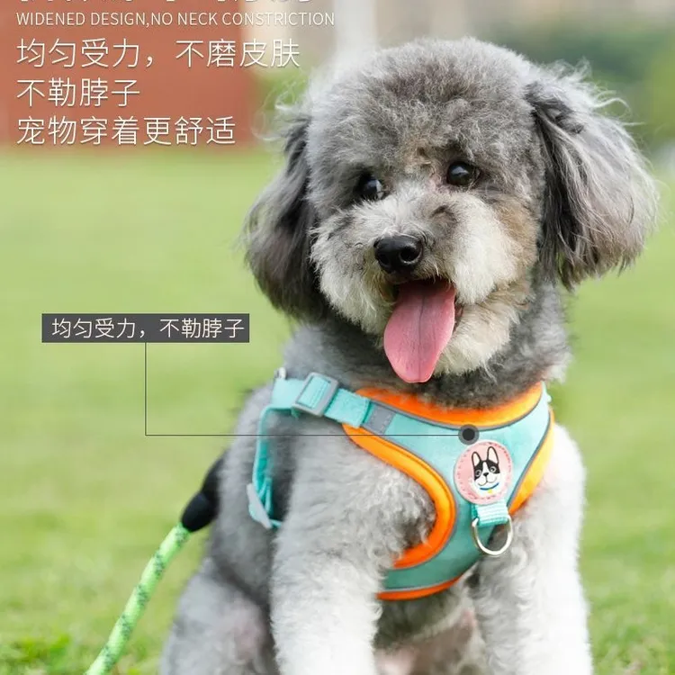 幼犬链子博美牵引绳宠物狗狗狗比熊遛狗绳背心式小型犬胸背带泰迪