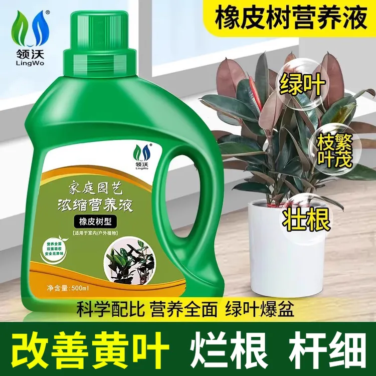 橡皮树营养液处理黄叶专用烂根通用型液体肥料发财树幸福树等