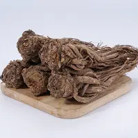 深山当归250g 品质保证