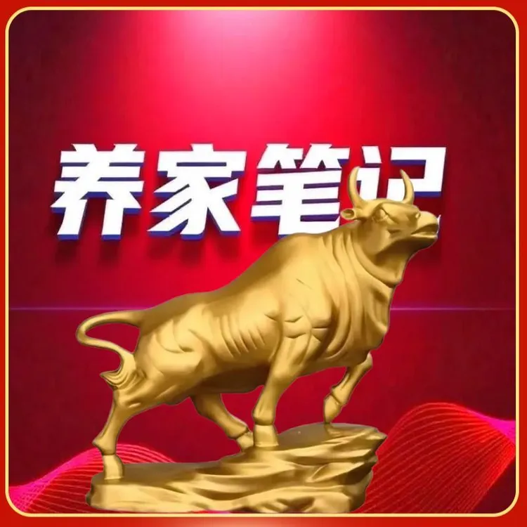 2025养家笔记养家理念心法精要提升审美不含金牛创意摆件