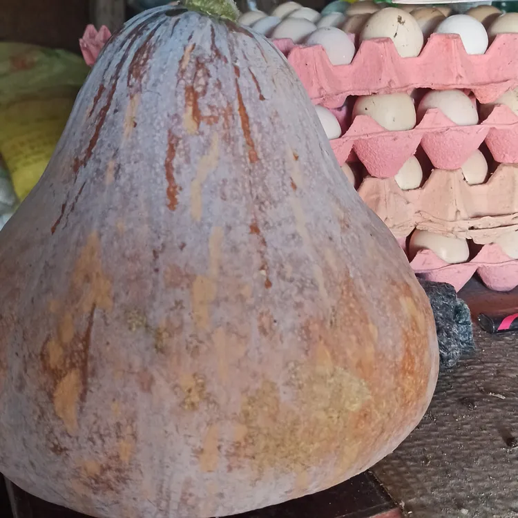 信阳商城县新鲜现摘软糯香甜南瓜