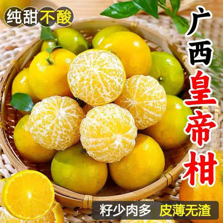 【坏果包赔】广西皇帝柑5/9斤新鲜采摘当季水果产地直发清甜多汁