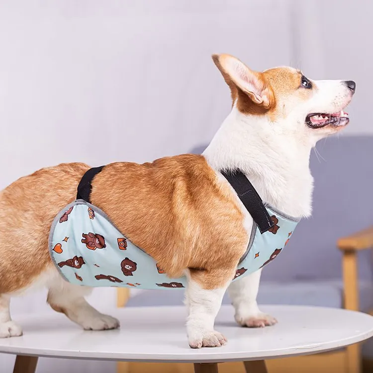 宠物防凉肚兜柯基柴犬狗狗保暖护肚子衣服防着凉防脏防水肚兜L