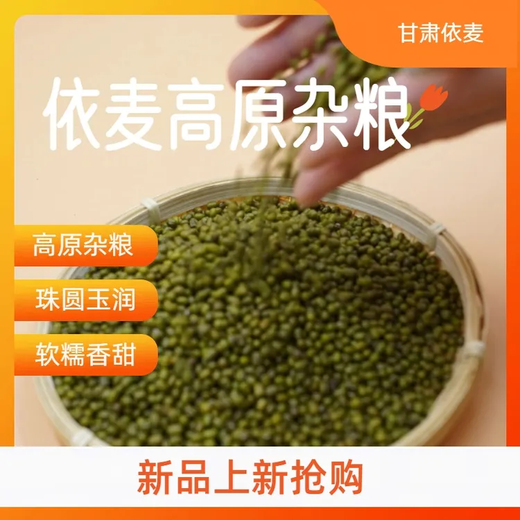 老品种绿小豆当季新豆农产品依麦杂粮绿豆