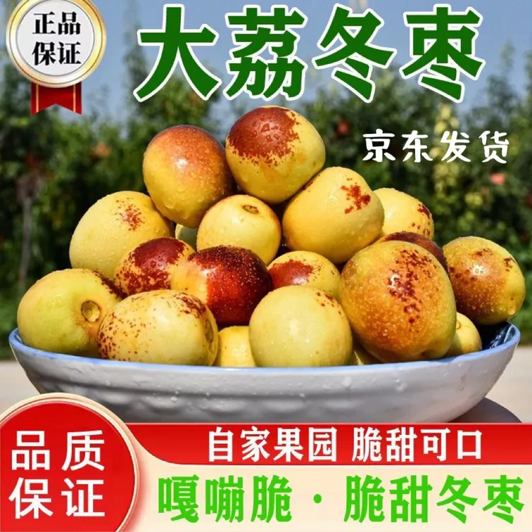 头茬陕西大荔冬枣现摘新鲜冬枣当季水果口感直发正宗陕西大荔冬枣