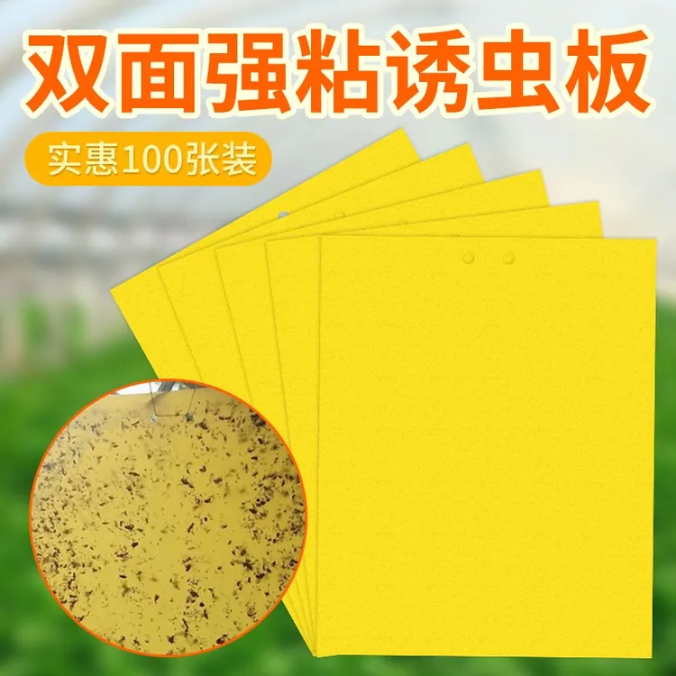 空消强力粘蝇纸黄板双面粘虫板诱虫板粘虫纸贴室内小飞虫粘蝇贴板