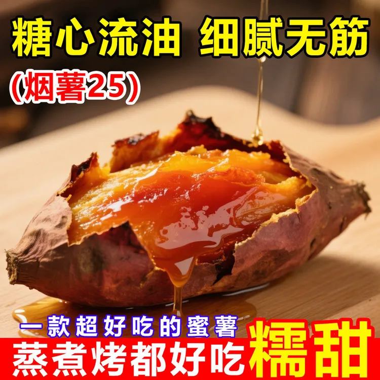 【鲜货速发】烟薯25号红薯烤地瓜心糖稀软瓤流油密暑大小蜜薯