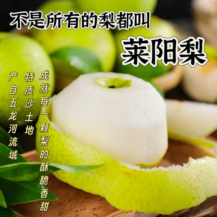 【莱阳梨】山东莱阳头茬黄金梨产地现摘现发脆爽脆甜多汁