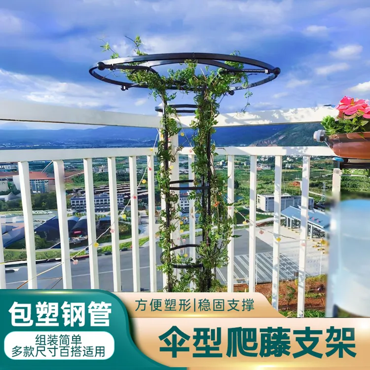 伞形状园艺爬藤花架户外月季玫瑰铁线莲三角梅包塑钢管攀爬支撑架