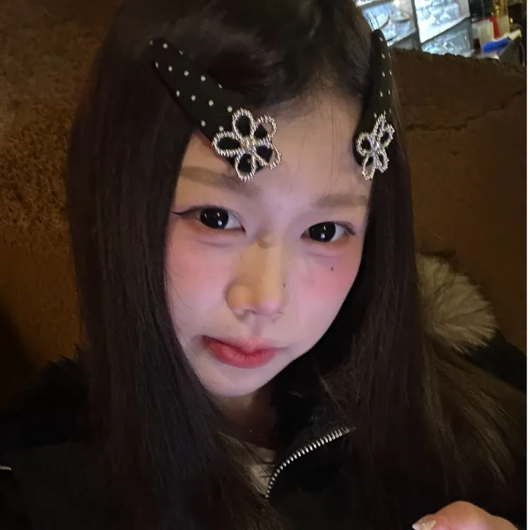 元气满满森系花朵波点发夹发卡女网红BB夹千金风边夹百搭轻奢风