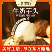 东方甄选自营牛奶芋头口感绵密软糯香甜新鲜应季蔬菜芋头坏果包赔
