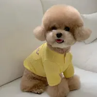 秋季宠物打底衫泰迪比熊博美马尔济斯约克夏小型犬狗狗衣服秋天