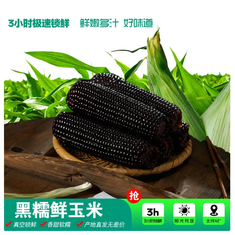【试吃3根】25年头茬东北黑糯玉米10根装整箱5斤