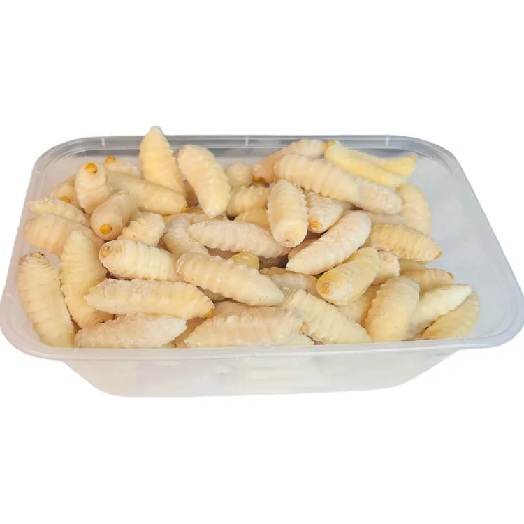 新鲜纯白土蜂金环虎头蜂蛹挑内脏地蜂现挖鲜活冻马蜂蛹生鲜昆虫