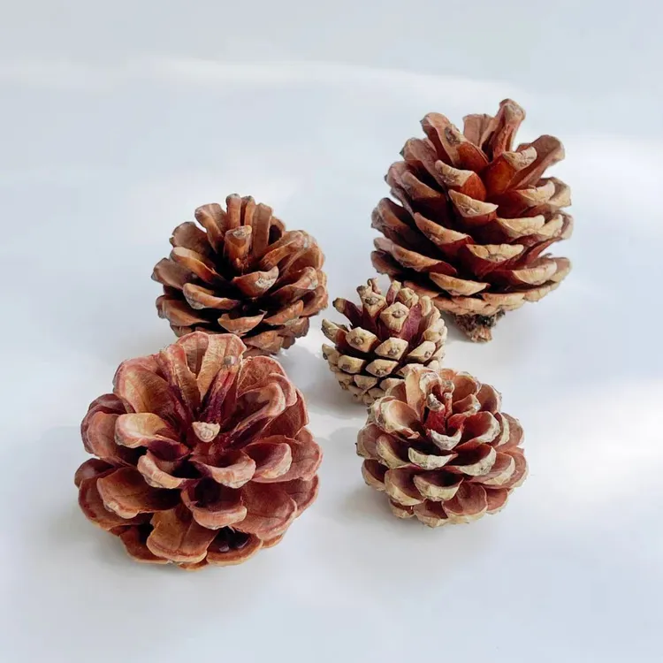 圣诞节天然干松果圣诞树DIY装饰材料包摄影道具布置花环车挂配饰