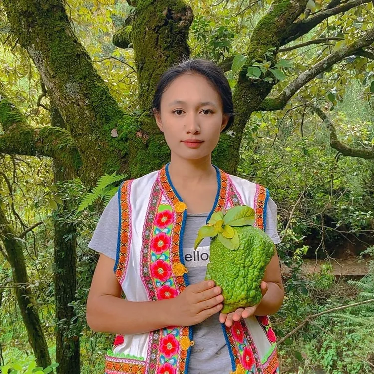 清供云南特色闻香香橼花卉摆件