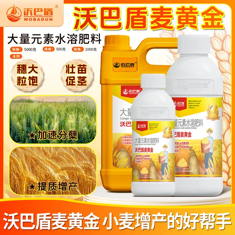 沃巴盾麦黄金抗寒防冻壮苗促茎抗逆抗倒伏穗大粒饱叶面肥水溶肥料