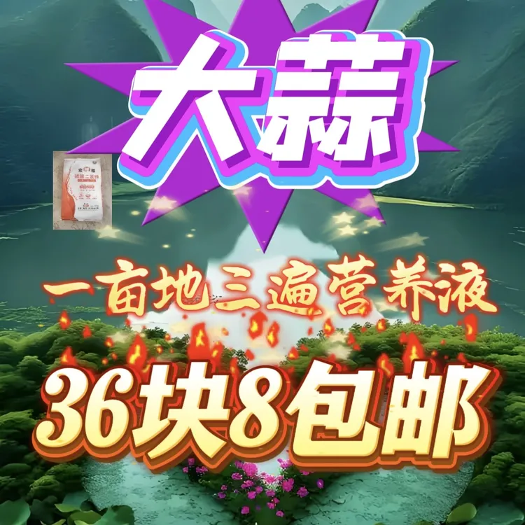 含营养液大蒜一亩三遍包邮