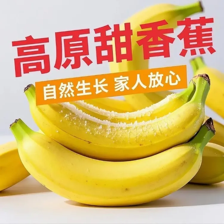 【精品果】9斤云南高山甜香蕉头茬新鲜采摘个大饱满