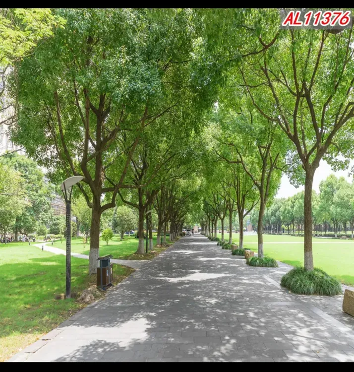 【康康妈同款】新款直播背景布3d立体油菜花田园农村户外场景背景布