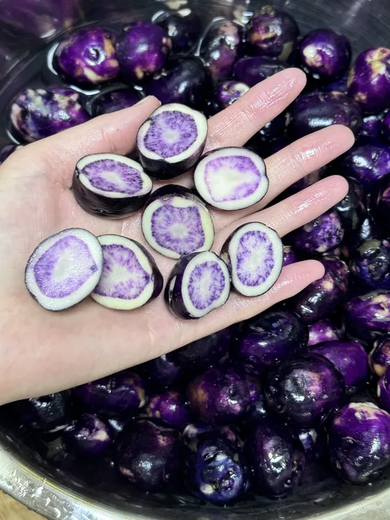 贵州正宗乌洋芋紫色土豆七彩土豆油炸摆摊原材料量大批发