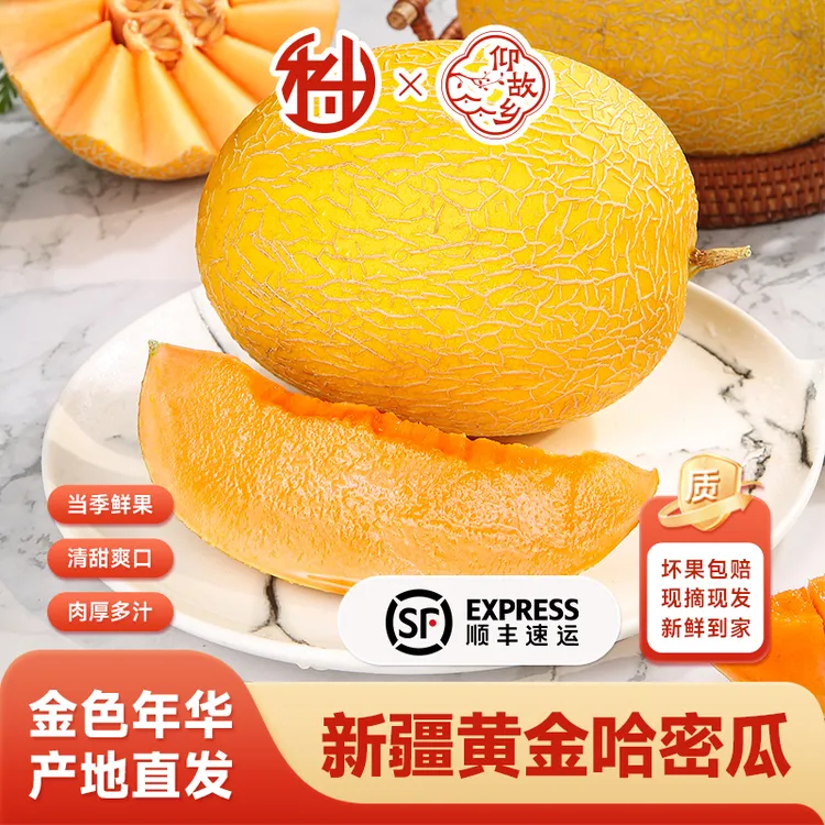 【顺丰包邮】仰故乡新疆吐鲁番哈密瓜新鲜采摘皮薄肉厚脆甜多汁A