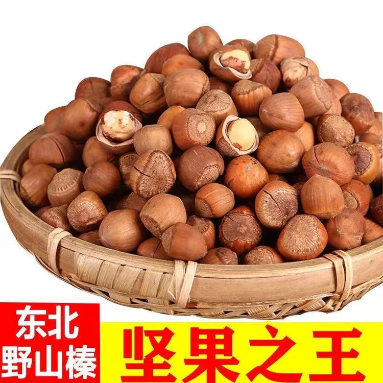 新货铁岭野山手拍榛子中大粒1.3~1.5(熟)3斤5斤