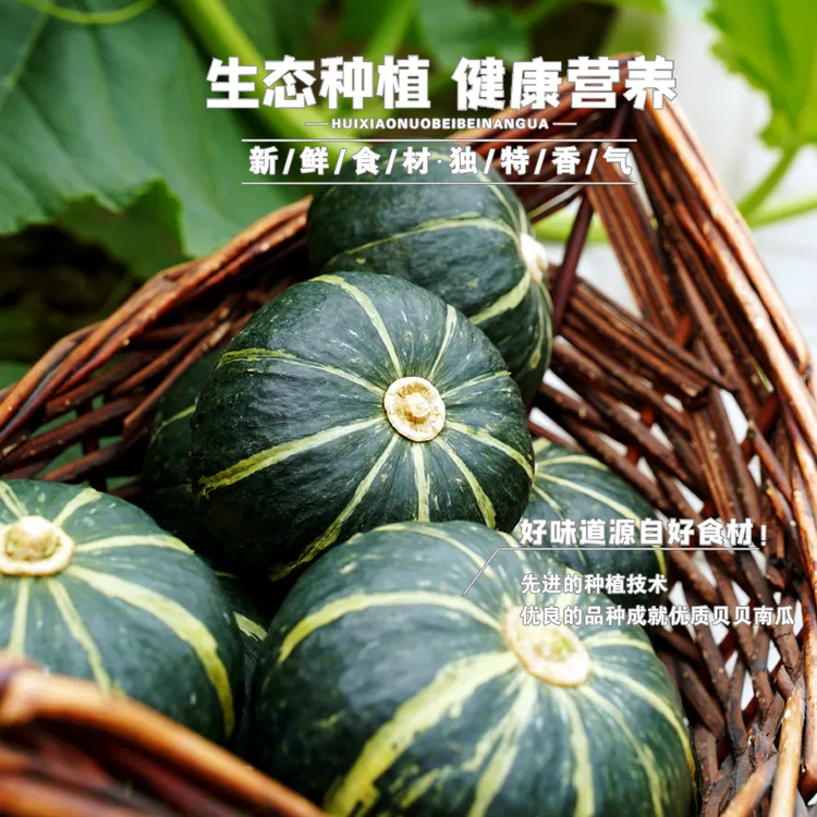 惠小糯南瓜贝贝南瓜礼盒香甜粉糯惠和一号早餐轻食