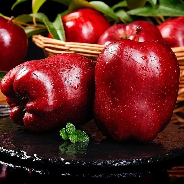 甘肃花牛苹果刮泥粉面脆甜高山蛇果净重4.5斤/8.5斤