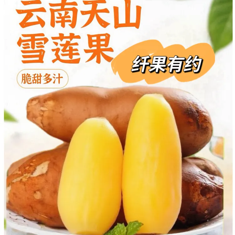 【纤果自营】正宗云南天山雪莲果头茬黄白果净重3-9斤装现挖现发