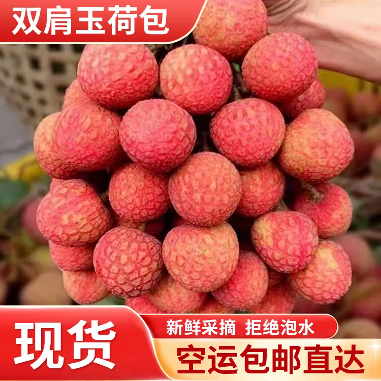 广东阳江白糖玉荷包荔枝当季水果全甜现摘现发空运包邮
