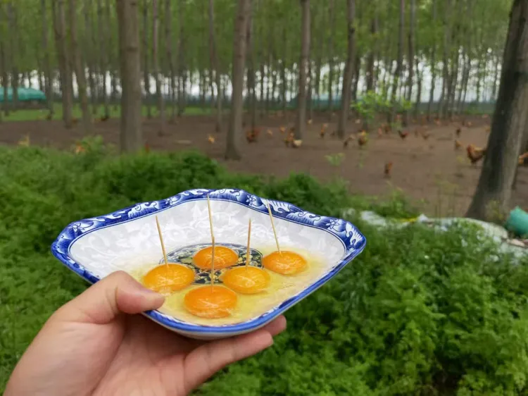 鲜先农土鸡蛋，百亩林地散养土鸡蛋。新人开播，优惠多多，京东直达。