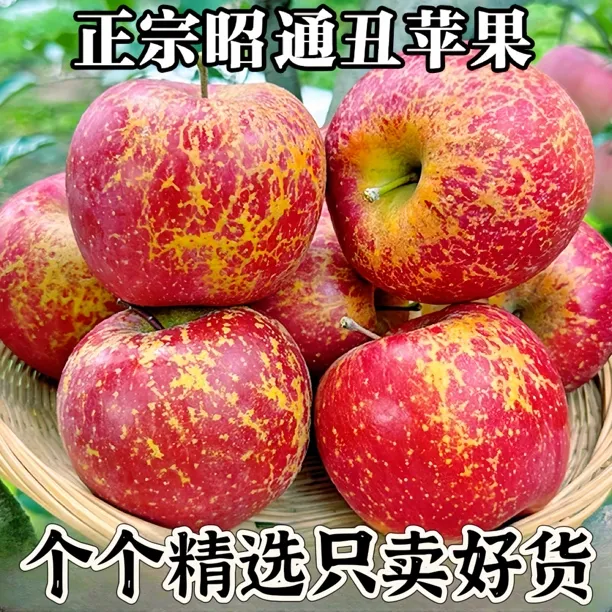 云南昭通冰糖心丑苹果脆甜多汁新鲜当季水果果园现摘产地2/5/10斤