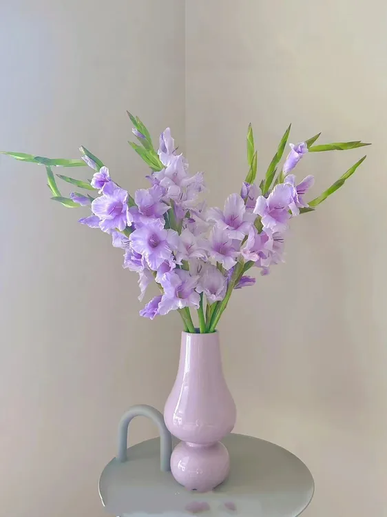 【云南鲜花】剑兰鲜切花产地直发品质保证好养护!花期