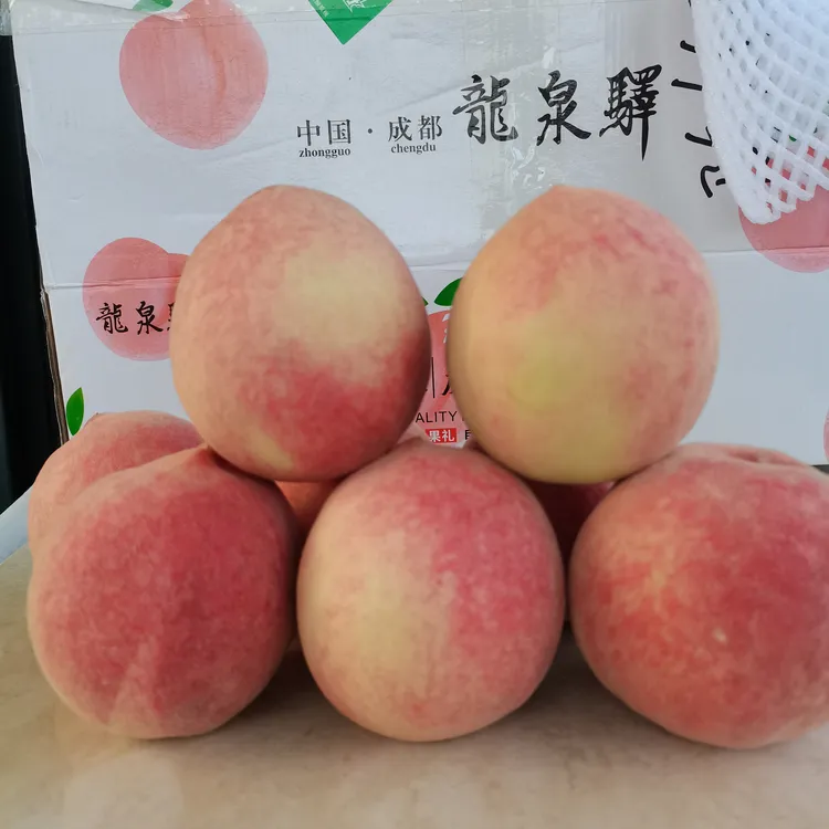【水蜜桃】龙泉山水蜜桃现摘现发脆软两吃坏果包赔 