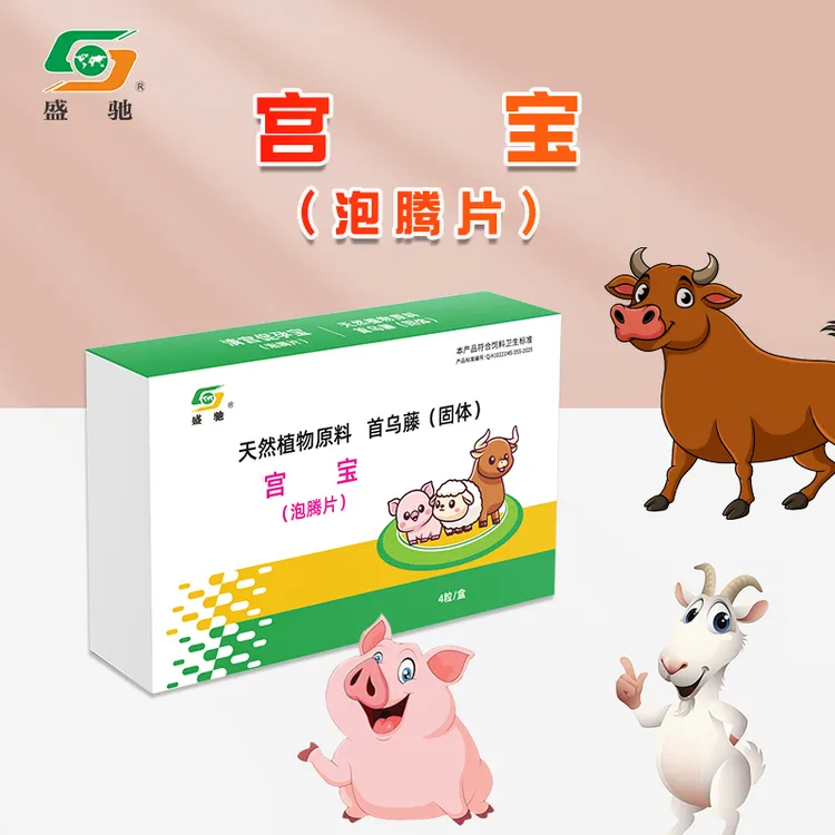 宫立康 宫宝泡腾片天然洁净产品清宫产后一粒不扎脖子预防流白