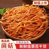 福建南平顺昌虫草花新鲜干货孢子头虫草花煲鸡汤无干燥剂无熏硫