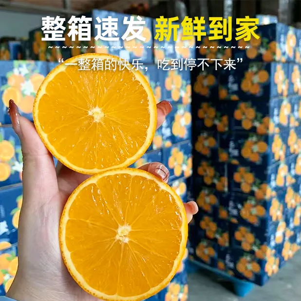 秭归伦晚|果香浓郁|口感纯正|皮薄肉厚|甜蜜爆汁|保鲜配送